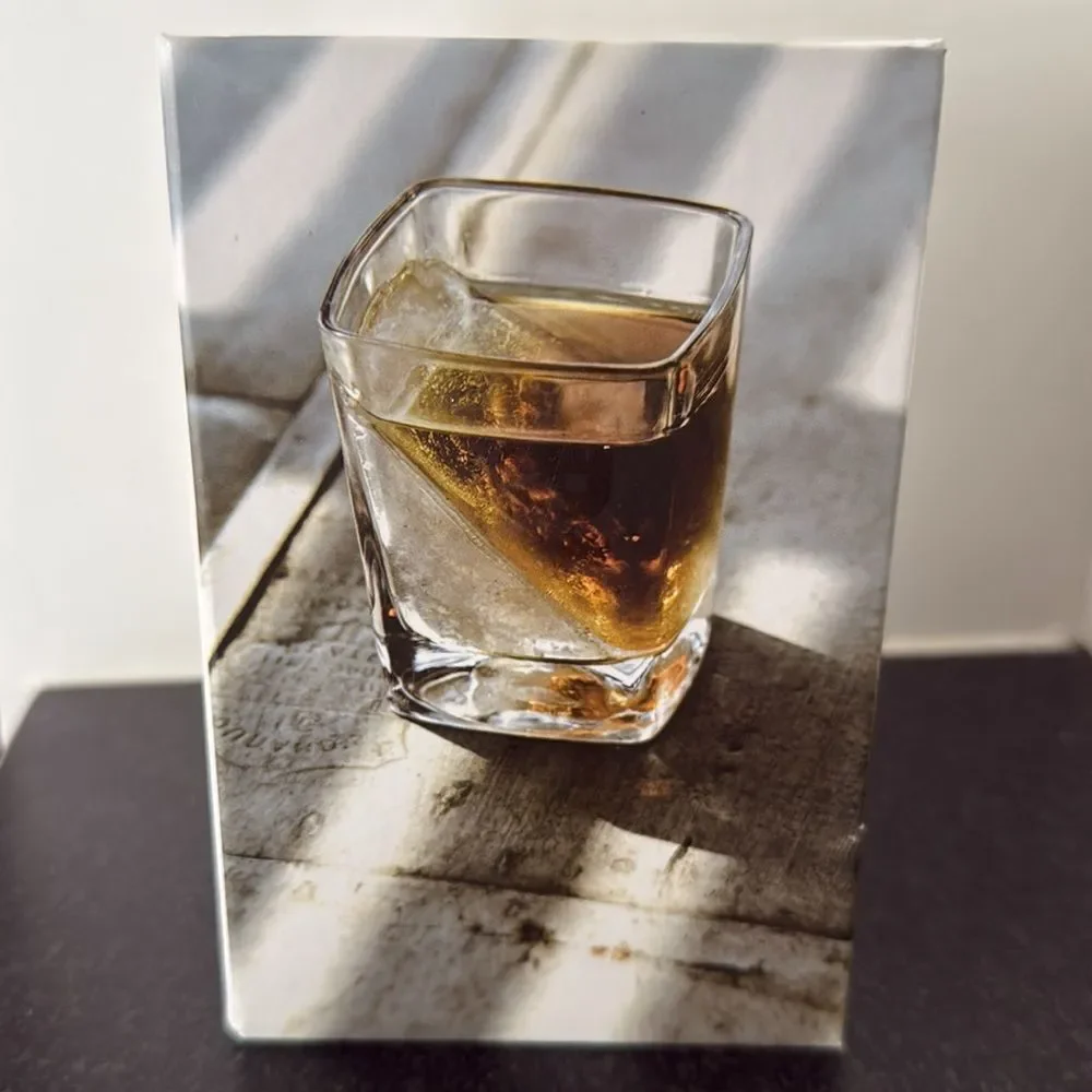 Corkcicle Whiskey Wedge & Glass - 9 oz - New